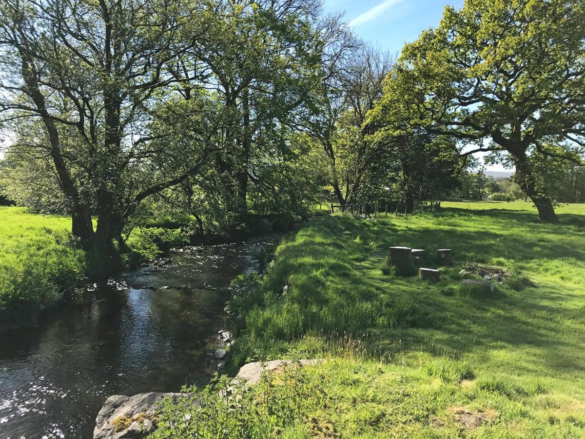 Llanybyther Maesyfelin Isaf B&B المظهر الخارجي الصورة