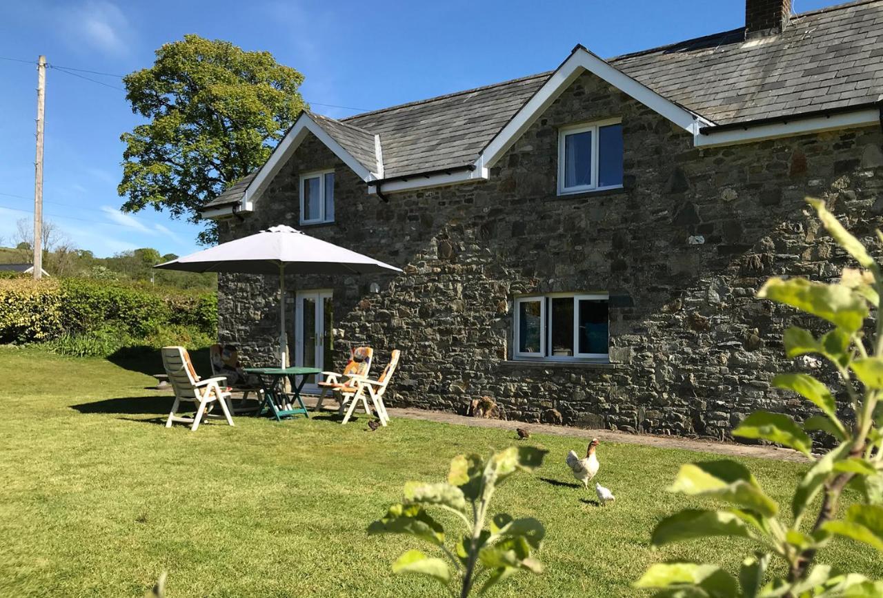 Llanybyther Maesyfelin Isaf B&B المظهر الخارجي الصورة