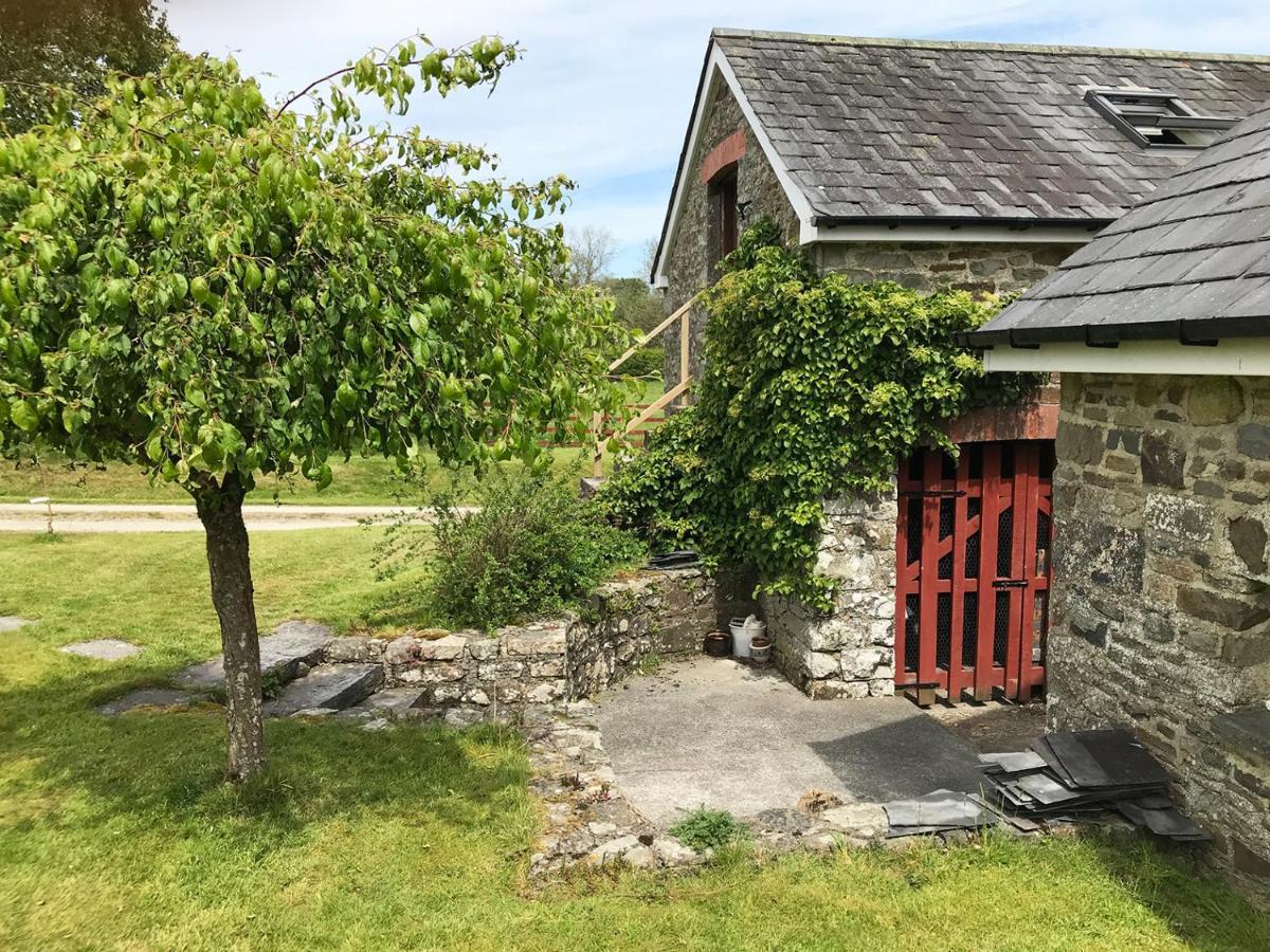 Llanybyther Maesyfelin Isaf B&B المظهر الخارجي الصورة